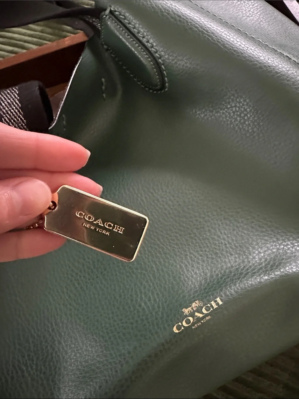 Coach Green Leather Tote with Dark Ribbon Handles